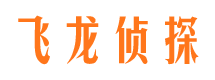 沧州市侦探调查公司